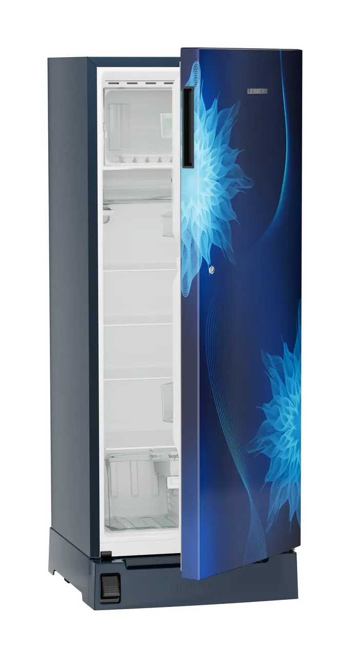 DFPlmE 2221 Plus Single-door refrigerator 222 l in 5 star with